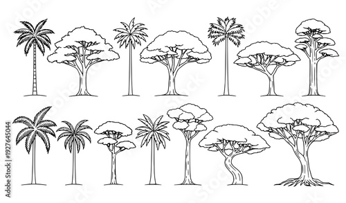 Tropical Landscape Tree Outline Symbols Side Elevation Vector Set for Architectural Drawing