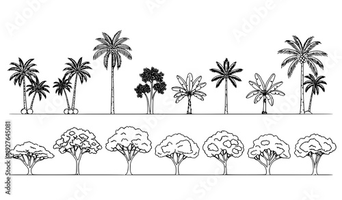 Tropical Tree Line Drawing Set Side View Outline Symbols for Architecture Landscape Plans Vector