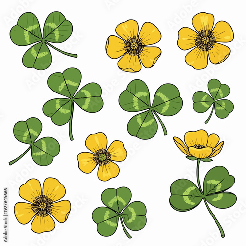 clover leaves with yellow flowers.