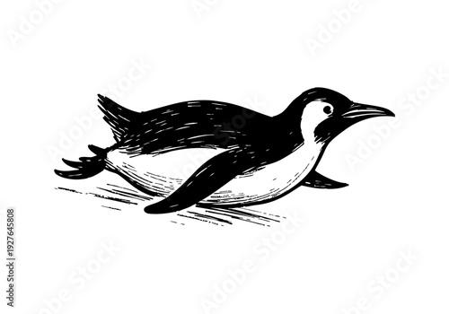 Canvas Print Penguin hand drawn simple sketch vector illustration