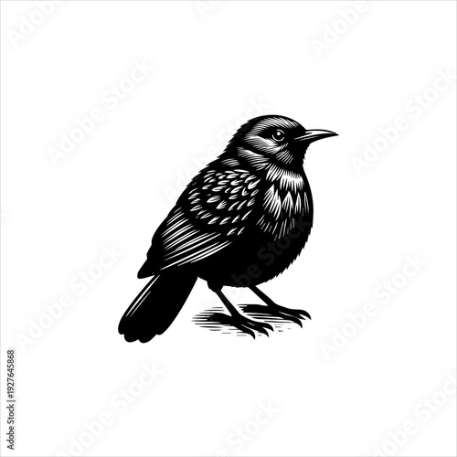 Furnarius rufus bird silhouette displayed as a clean black vector emblem design. Wildlife icon concept