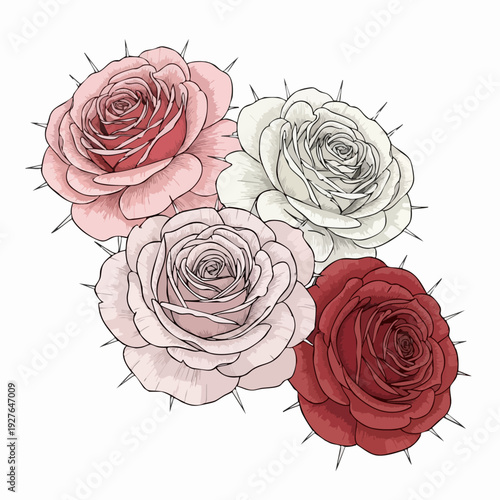 Three Roses Floral Illustration Colorful Artwork.