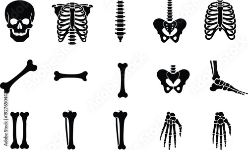 A collection of black silhouettes representing various parts of the human skeletal system.