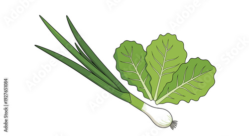 Fresh green onion stalk is paired with several bright green lettuce leaves to represent healthy salad ingredients.