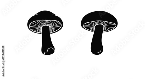 Two simple black silhouettes of forest mushrooms show different cap shapes and stem thicknesses on a white space.