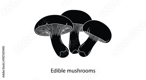 Three black silhouettes of edible forest mushrooms are presented together with descriptive text at the bottom.