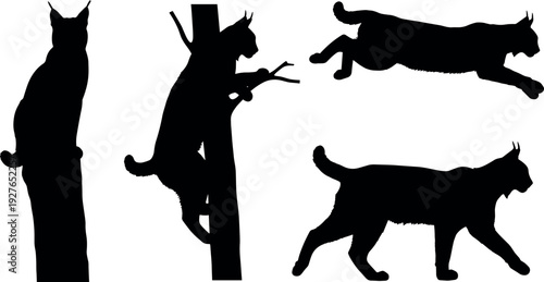 Black Lynx Silhouette Set with Wild Cat Climbing Tree, Jumping, Walking, and Sitting Poses Isolated on White Background for Vector Design