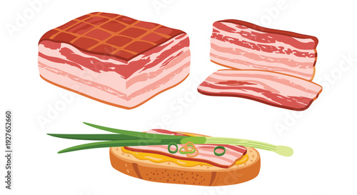 Various forms of bacon including a slab, thin slices, and a sandwich with green onions are shown in a detailed illustration.