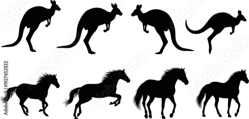Black silhouette collection of wild kangaroos and horses in various active motion poses isolated on white background for nature design
