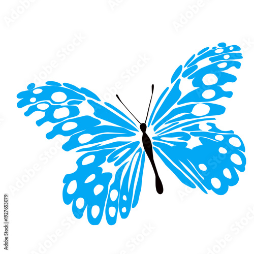 Sky Blue Butterfly Vector Silhouette Nature
