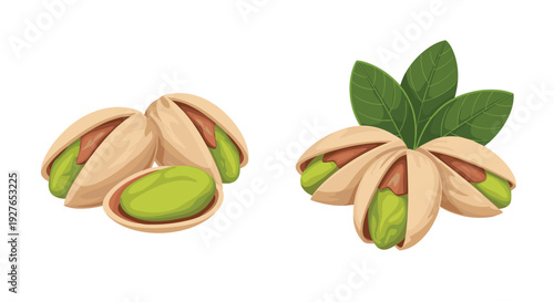 Detailed illustration of pistachio nuts showing some in their cracked shells and one peeled kernel alongside a cluster with leaves.
