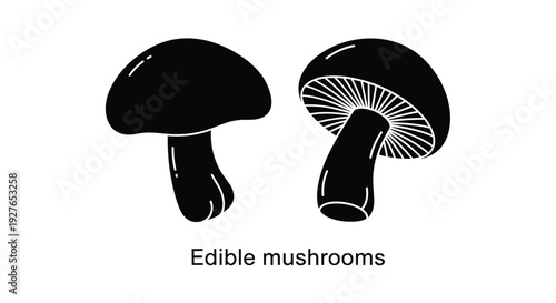 Simple black silhouettes of two edible mushrooms with one showing the underside of the cap and gills against a white background.