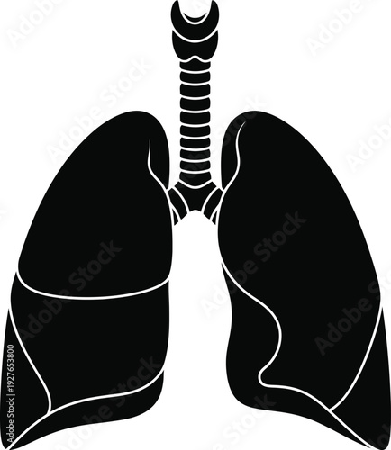 A detailed black silhouette of human lungs with branching airways perfect for medical illustrations on transparent background high quality professional modern
