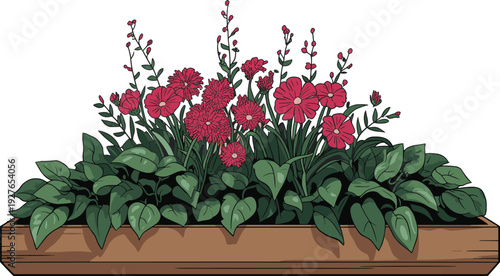 Vibrant red flowers blooming in wooden rectangular planter box, gerbera daisies cosmos petunias green foliage illustration, spring summer garden decoration vector art.