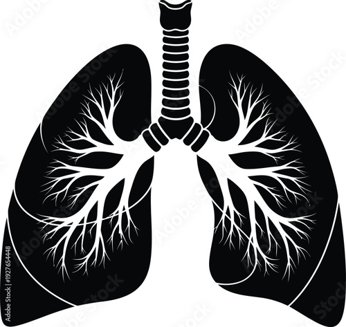 Detailed illustration of human lungs with branching airways presented in a striking black silhouette on transparent background high quality professional detailed