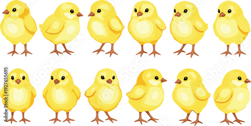 Set of Cute Yellow Easter Chick Vectors in Various Poses for Spring Holiday Graphics Childrens Book Illustrations and Farm Themed Branding