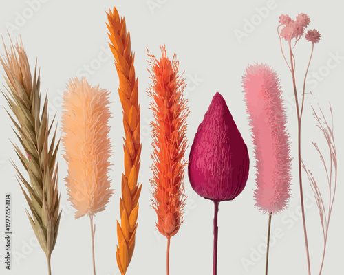 Collection of dried flowers and grasses in warm colors on a light background