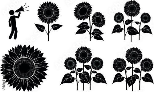 Black Sunflower Silhouette Vector Set with Single Flowers Triple Stems Sun Flowers Heads and Man with Megaphone Icon for Nature Design