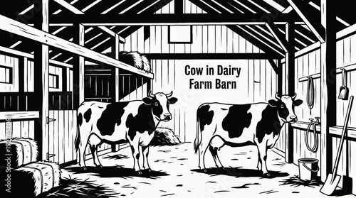 dairy cow standing in a farm barn stable black and white vector representing milk production livestock farming agriculture and food industry supply