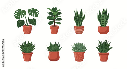 Eight potted house plants in two rows against a white background