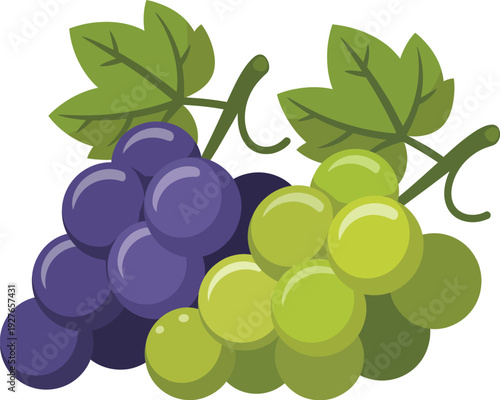 Two bunches of grapes one purple one green with leaves