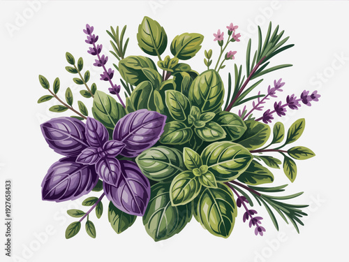 Fresh culinary herbs bundle with basil rosemary and lavender