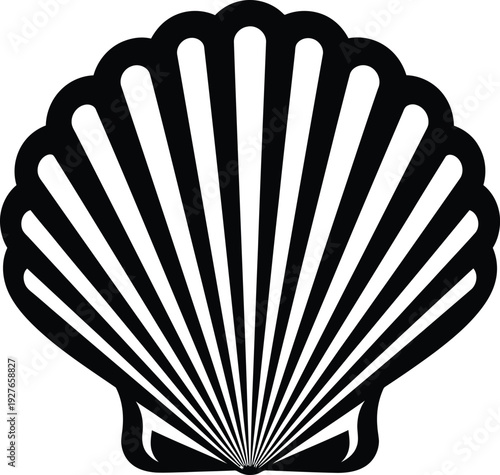 A striking black scallop shell illustration with radiating lines ideal for designs on transparent background silhouette high quality professional detailed modern