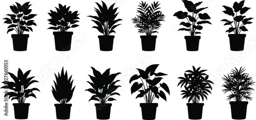 Collection of various potted plants in black silhouette