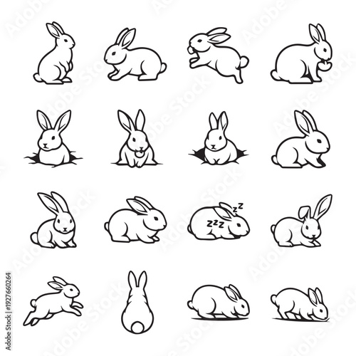Collection of Diverse Rabbit Illustrations in Various Poses and Actions Vector Graphics
