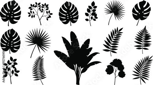 Collection of various tropical leaf silhouettes