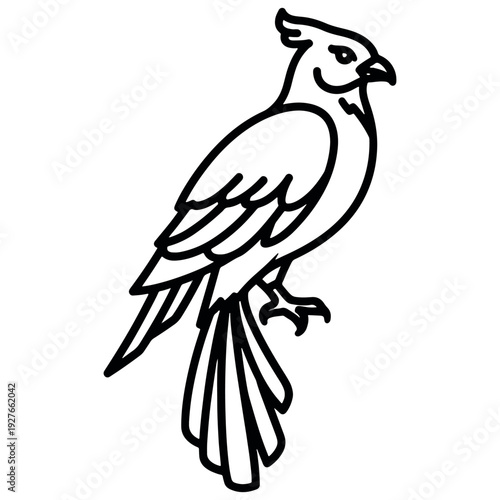 vector illustration of a bird