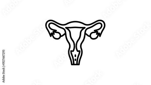 Vector Icon Sheet of a Stylized Uterus Illustration for Medical Education Purposes from a Front Viewpoint