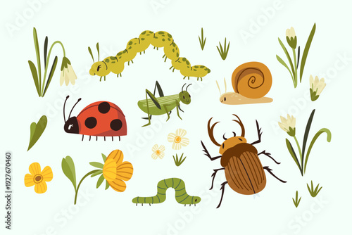 Collection of vector cute childish bugs. Isolated illustrations set of beetle, ladybird, caterpillar, snail, grasshopper and spring flowers