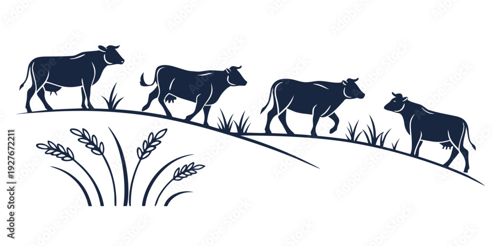 Fototapeta premium Four cows walking in a line across a grassy field with tall grass in the foreground Vector