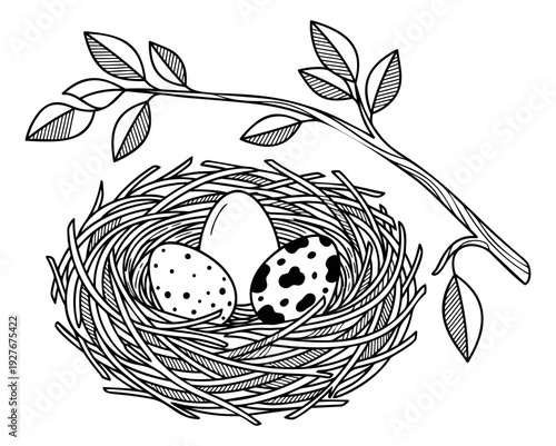 Hand drawn line art illustration of a bird's nest with eggs and a branch depicting spring and new life for Easter designs