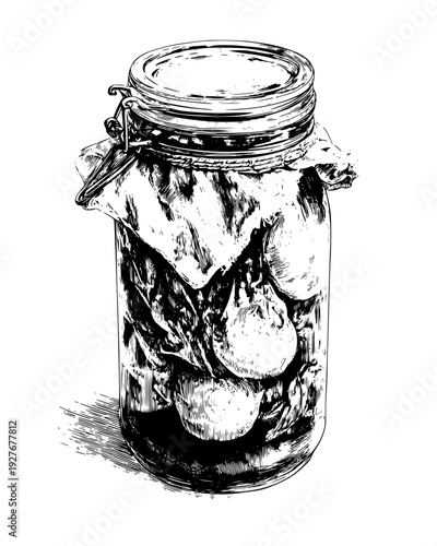 SCOBY floating on top of a jar of fermenting black tea liquid, vector design