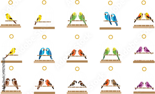 Colorful Birds in Cage Collection Vector Set with Parrots Canaries and Lovebirds Decorative Illustration