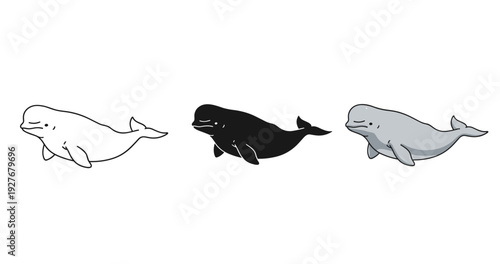Three beluga whale variations: black, white, gray illustrations