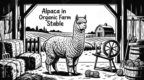 alpaca in an organic farm stable representing fiber production sustainable agriculture and eco farming