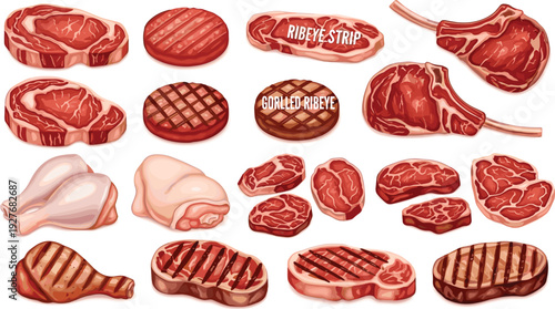 Raw and Grilled Steak Meat Collection with Ribeye Strip and BBQ Cuts Butcher Vector Illustration Set