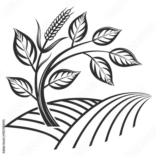 A black and white drawing of a plant growing out of the ground