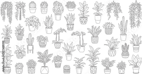 Hand-drawn Collection of Various Potted Houseplants, Succulents, and Cacti Line Art