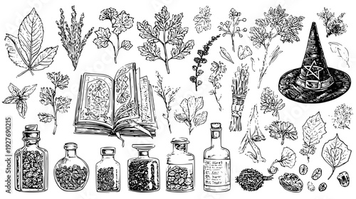 Witchcraft supply collection with preserved leaves and seeds, illustration set