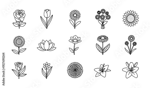 Flowers line icons set rose tulip daisy sunflower lotus lily outline editable stroke vector isolated on transparent background