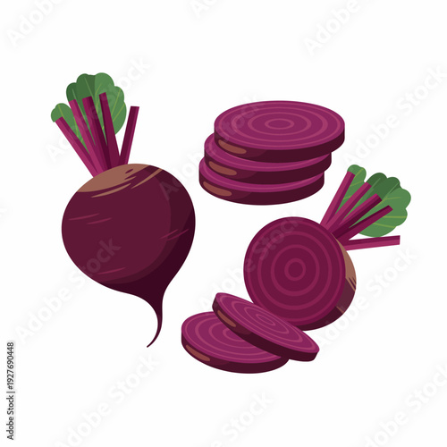 Fresh whole and sliced beets with green tops illustration