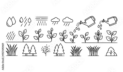 Hydration and woodland vegetation line icons botanical growth editable stroke vector isolated on transparent background
