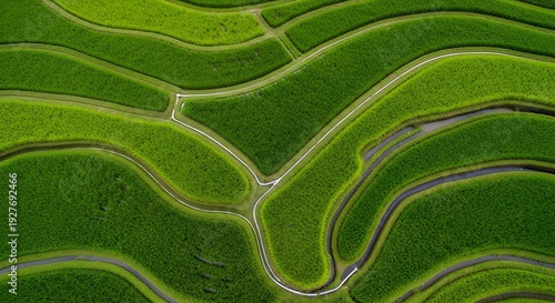 Lush Green Terraced Rice Fields Aerial View.