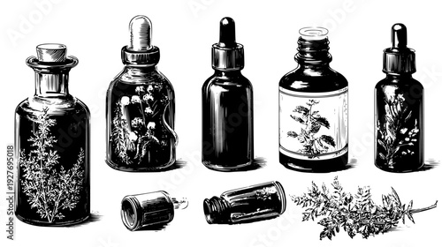 Botanical oil set with glass droppers and roller bottles, vector illustration set
