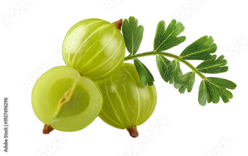 fresh green gooseberries with leaf on white background.
