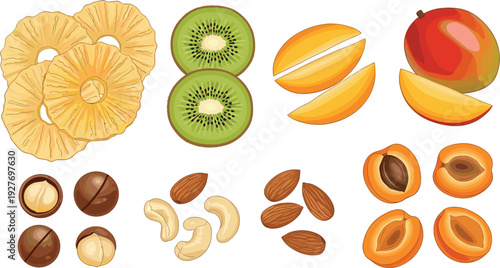  Vibrant Tropical Fruit and Nut Vector Set with Pineapple Kiwi Mango Coconut Cashew Almond Apricot Whole and Sliced for Healthy Nutrition and Smoothie Designs